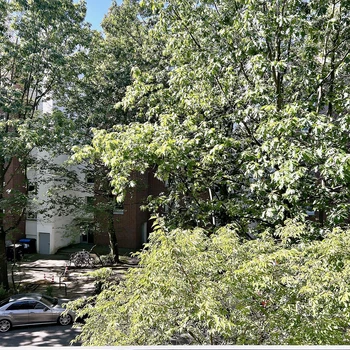 https://pictures.immobilienscout24.de/listings/dbcb9723-8e9c-4d45-b461-bb866616cc9d-2098413229.jpg/ORIG/legacy_thumbnail/350x350/format/webp/quality/90 image