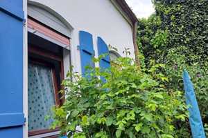 Charmantes Altstadthaus mit 2-3 Wohnungen ohne Reparaturrückstau und liebevoll angelegten Innenhof – Fürth (Kreis) – Vorschaubild 3