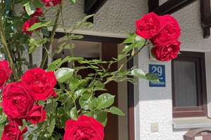 Ein echtes Münchner Kleinod – Charmantes RMH mit Garten – Kaufpreis auf Anfrage