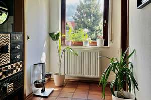 Einfamilienhaus mit zwei potentiellen Baugrundstücken! – Die vollständige Adresse der Immobilie erhältst du vom Anbieter., 36381 Schlüchtern – Vorschaubild 12