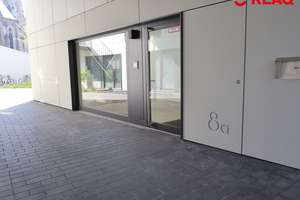 Luxuriöse 2-Zimmer-Wohnung mit Parkblick und Loggia! – Veltmanplatz 8a, 52062 Ponttor, Aachen – Vorschaubild 14