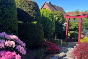 Neuwertiger Bungalow mit großem Garten in Osnabrück-Lüstringen – Osnabrück – Vorschaubild 4