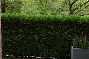 Property thumbnail 17