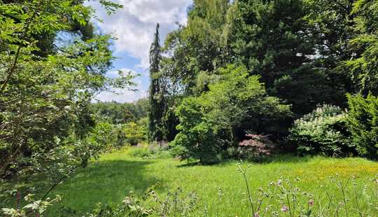 Bild von Großes Parkgrundstück in unverbaubarer Lage im Herzen des Rhein-Main-Gebietes