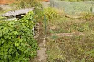 Geräumig und preisgünstig!!! – Sankt Wendel (Kreis) – Vorschaubild 6