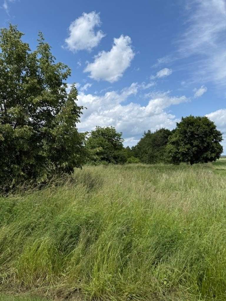 Traumgrundstücke vor den Toren Leipzigs - 2 x 1.500 m² in Großpösna