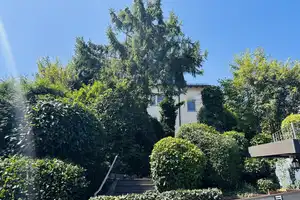 Familienidyll mit Ausblick 
in Altenbach:
Haus mit Einliegerwohnung und flexibler Nutzung – Abtsweg 21, 69198 Rhein-Neckar-Kreis – Vorschaubild 16