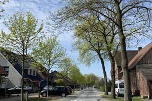 Schöne Doppelhaushälfte in Lüdinghausen zu vermieten – Die vollständige Adresse der Immobilie erhältst du vom Anbieter., 59348 Lüdinghausen – Vorschaubild 6