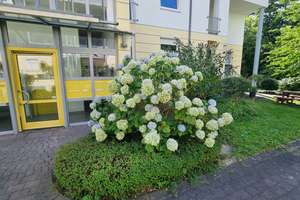 Exklusive Staffelgeschosswohnung in Bremen Vahr – Die vollständige Adresse der Immobilie erhältst du vom Anbieter., 28329 Neue Vahr Südwest, Bremen – Vorschaubild 2