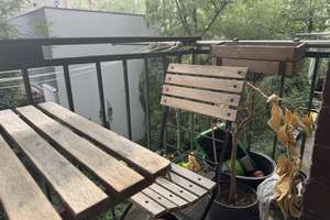 2-Zimmer Wohnung in Mannheim Jungbusch – Dalbergstr. 21, 68159 Innenstadt/Jungbusch, Mannheim – Vorschaubild 15