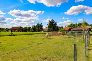 +Gehöft mit Zweifamilienhaus -Gewerbeflächen ca.300QM-Landwirtschaftsflächen ca.6500QM+ – Spree-Neiße (Kreis) – Vorschaubild 14