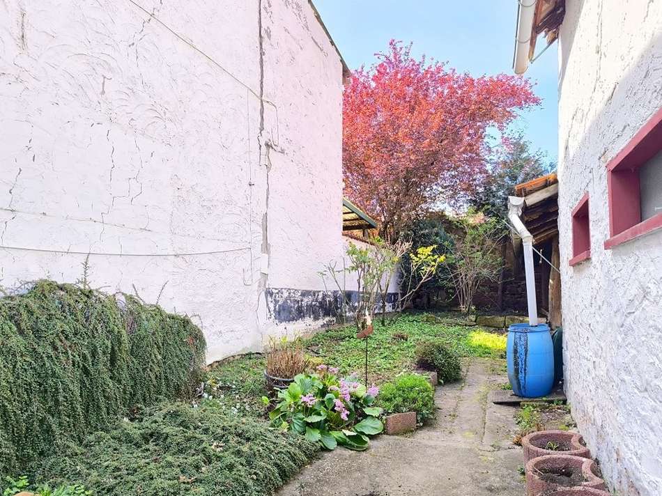 Teilansicht Garten