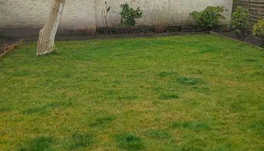 Bild von Charmante Doppelhaushälfte in Offenbach City