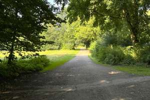 Property thumbnail 15