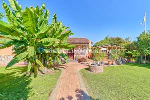 Sie hier? Wir auch! Gepflegter Bungalow mit Garage und 3 Carports auf einem 808,00 m² gr. Grundstück – 67065 Mundenheim, Ludwigshafen am Rhein – Vorschaubild 4