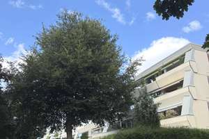 Schöne 2,5 Zi.-Eigentumswohnung mit Stellplatz & Solaranlage (keine Käufercourtage )