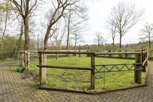Ideal für Pferdehalter! Pferdehof mit Pferdeboxen, Reitplatz und gr. Lagerhalle – Die vollständige Adresse der Immobilie erhältst du vom Anbieter., 26532 Großheide – Vorschaubild 26