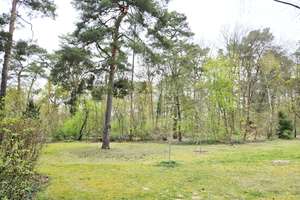 Appartment in schöner Waldlage im EG am Grunewald /nahe U3 Onkel-Tom-Hütte / FREI ab 1.9.26 – Die vollständige Adresse der Immobilie erhältst du vom Anbieter., 14169 Zehlendorf, Berlin – Vorschaubild 15