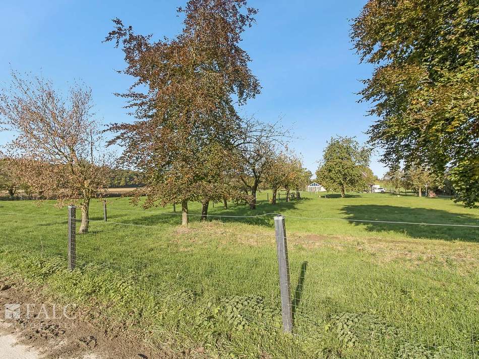Obstwiese