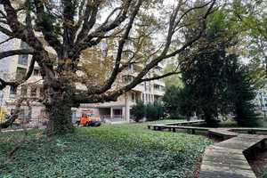 Property thumbnail 25