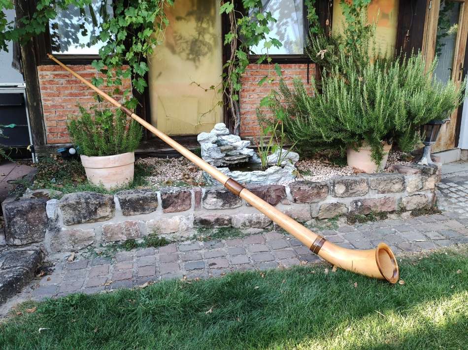 Garten im Sommer