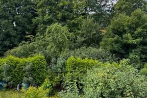 5 Zimmer Reihenmittelhaus mit Garten in Bestlage! Provisionsfrei! – Die vollständige Adresse der Immobilie erhältst du vom Anbieter., 14558 Nuthetal – Vorschaubild 9