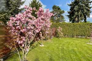 Property thumbnail 29