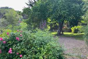 Seminarhaus mit traumhaften Belchenblick: 2-Familienhaus mit grossem Garten in Elbenschwand – Elbenschwander Ortsstraße 9, 79692 Lörrach (Kreis) – Vorschaubild 80