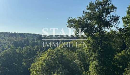 Bild von ++ FÜR VISIONÄRE ++