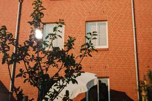 Gepflegtes Reihenmittelhaus in Berlin Britz – Am Brandpfuhl 8m, 12347 Britz, Berlin – Vorschaubild 5