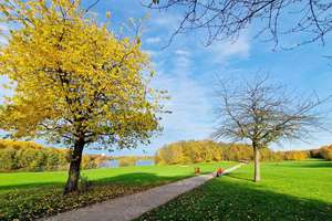 Property thumbnail 24