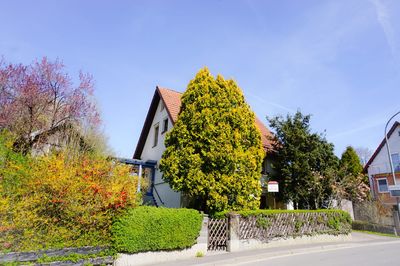 Sommer im eigenen Garten - EFH mit 3 Garagen, Garten und Gartenhaus in Hummeltal