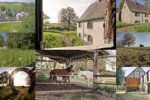 Außergewöhnliches Anwesen mit großem Areal und diversen Nebengebäuden