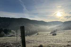 BIETERVERFAHREN - PROVISIONSFREI - Wochenendhaus aus Nachlass - kein Dauerwohnen – Donnersbergkreis – Vorschaubild 13