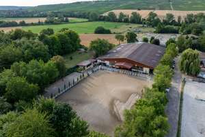 Moderne Reitanlage mit Wohnhaus – Toplage im Rhein-Main-Gebiet – Die vollständige Adresse der Immobilie erhältst du vom Anbieter., 55271 Stadecken-Elsheim – Vorschaubild 8