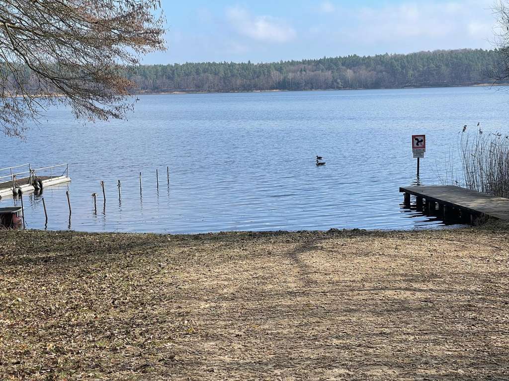 Immobilie in Schwarz - Da wohnen, wo andere Urlaub machen - Bild 1