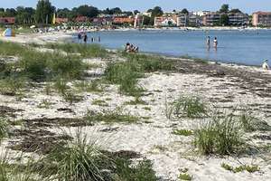 Wenige Schritte zum Meer: modernes und bildschönes Strandhaus in toller Ostseelage von Hohwacht – Die vollständige Adresse der Immobilie erhältst du vom Anbieter., 24321 Hohwacht (Ostsee) – Vorschaubild 16