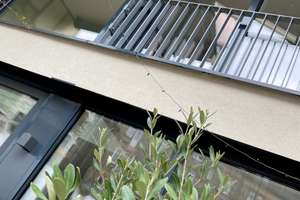 Neckarstadt-Ost: Stilvolle, neuwertige 5-Zimmer Maisonette-Wohnung, 2 Balkone + Terrasse – Eichendorffstraße 2-4, 68167 Neckarstadt-Ost/Wohlgelegen, Mannheim – Vorschaubild 30