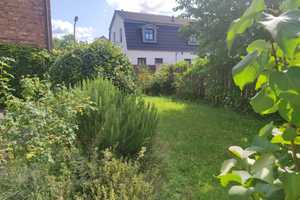 Charmantes freistehendes Familienhaus in Rheine Eschendorf - provisionsfrei – Steinfurt (Kreis) – Vorschaubild 28