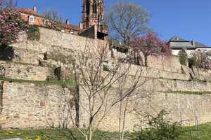 *HTR* Mehrgenerationenhaus, Stadthaus mit Yuppie-Penthouse, in Citylage, toller Ausblick – Aschaffenburg – Vorschaubild 26