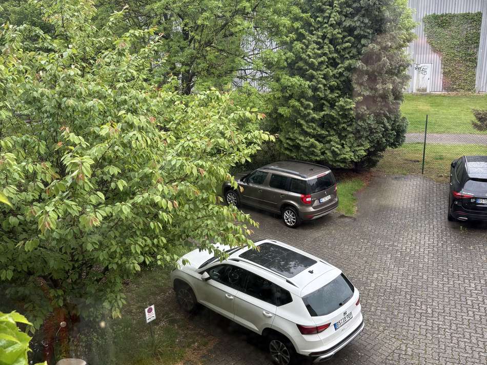Ausblick