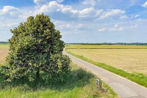 Mit Blick über Wiesen und Felder!
 – Die vollständige Adresse der Immobilie erhältst du vom Anbieter., 41812 Erkelenz – Vorschaubild 25