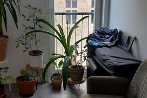 Hochwertig sanierte 2-Zimmer-Wohnung mit großer Terrasse und Aufzug in Pankow/Weißensee – Goethestraße 47, 13086 Weißensee, Berlin – Vorschaubild 1