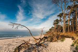 Doppelhaushälfte in ruhiger Lage von Zingst – Nordvorpommern (Kreis) – Vorschaubild 15