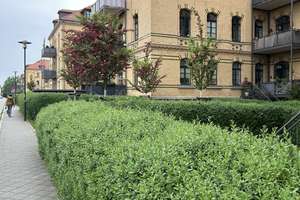 Stilvoll saniert: Großzügige 5-Zimmer-Wohnung in Gohlis-Mitte – Fleißnerstraße 22, 4157 Gohlis-Mitte, Leipzig – Vorschaubild 6