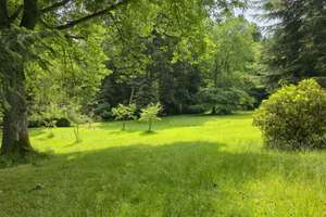 Landhausvilla im eigenen Naturparadies  – Die vollständige Adresse der Immobilie erhältst du vom Anbieter., 75328 Schömberg – Vorschaubild 7