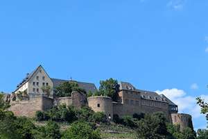 Gesuchte Randlage,  renovierte 2 ZKB-Loggia,  Weitblick, sofort einziehen! – Die vollständige Adresse der Immobilie erhältst du vom Anbieter., 55583 Bad Münster am Stein-Ebernburg – Vorschaubild 19