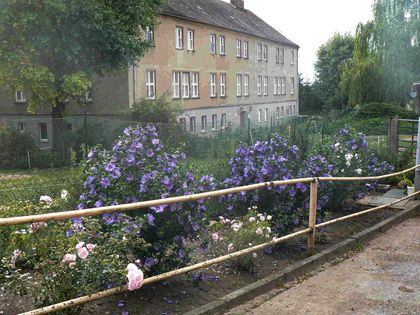 Haus kaufen in DornburgCamburg ImmoScout24