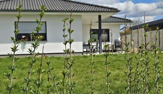 Bild von Traumangebot - Traumhaus