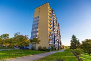 Ruhig, gelegene, barrierefreie, großzügige 2-Raum-Wohnung mit Dusche zu vermieten! – Carolinenstraße 4, 7747 Neulobeda, Jena – Vorschaubild 4